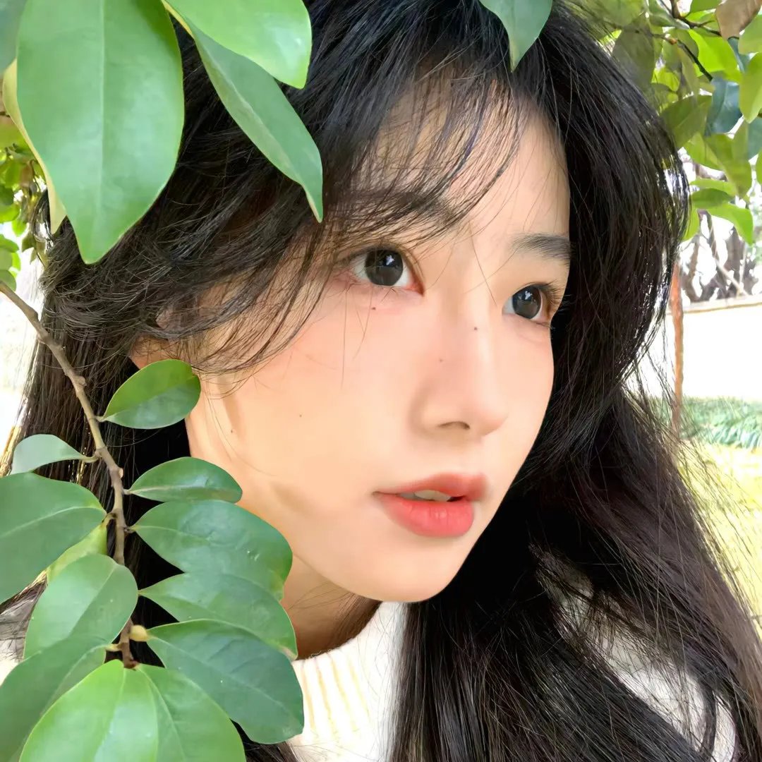 孔雀南飞